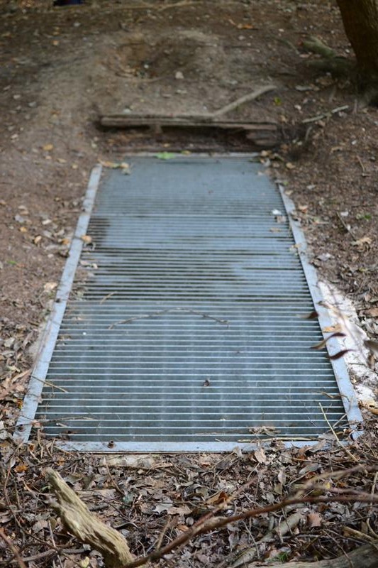 Cringleford Anderson Shelter