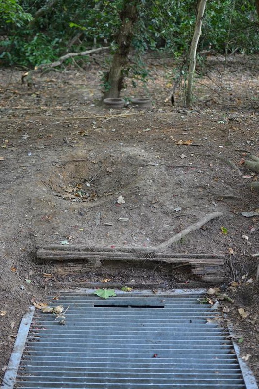 Cringleford Anderson Shelter