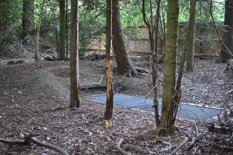 Cringleford Anderson Shelter